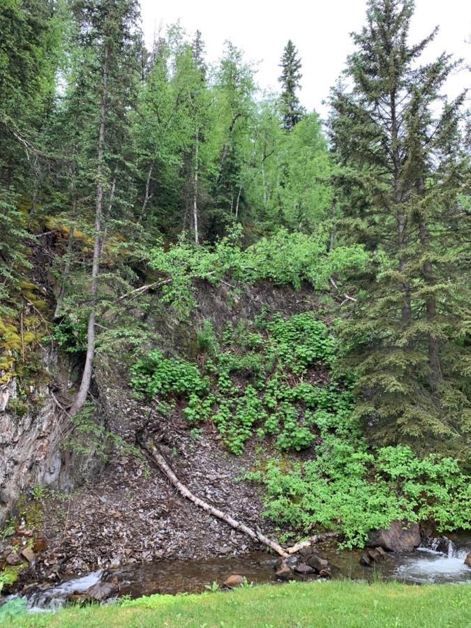 Whitetail Creek Camping Resort Lead Exteriör bild